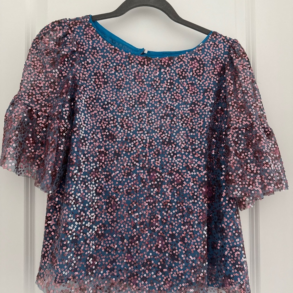 NWOT Anthropologie Maeve blue and pink sequined blouse with ruffled sleeve XS